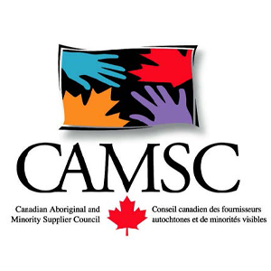 Logotipo de CAMSEC